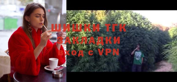 шишки Алексин
