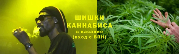 шишки Алексин