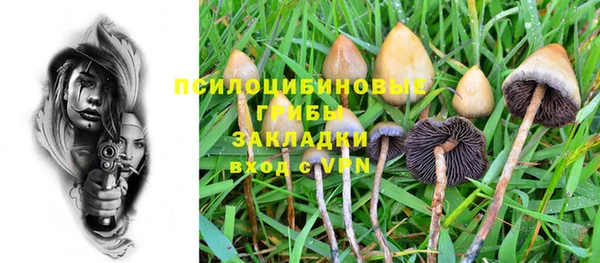 шишки Алексин