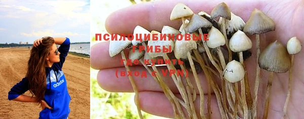 амфетамин Ельня