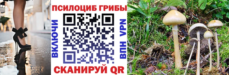 Галлюциногенные грибы Psilocybe  Лукоянов 