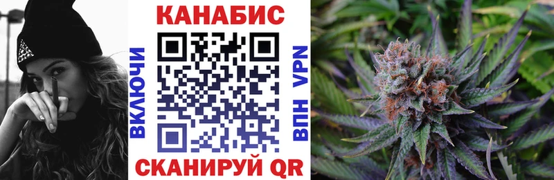 Конопля сатива  Лукоянов 